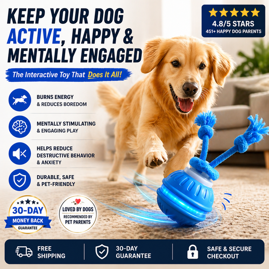 ChaseMate - Interactive Pet Play Ball