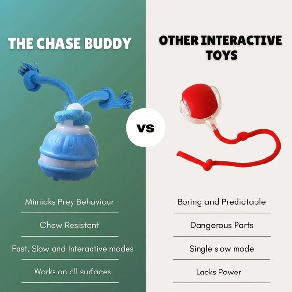 ChaseMate - Interactive Pet Play Ball