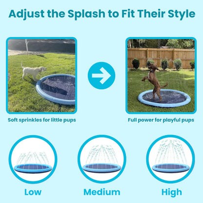 Pup Paradise Splash Pad