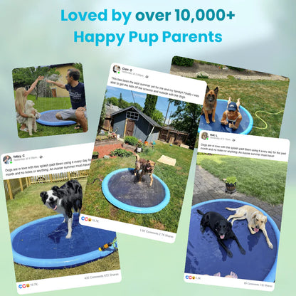 Pup Paradise Splash Pad